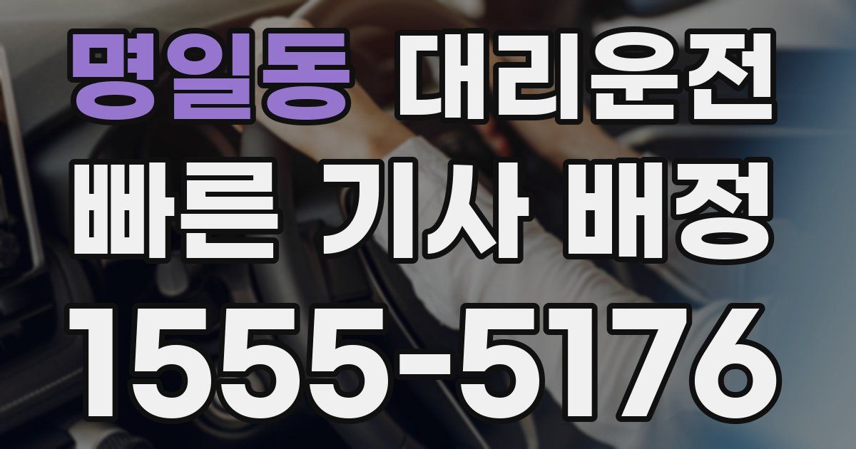 일일대리기사