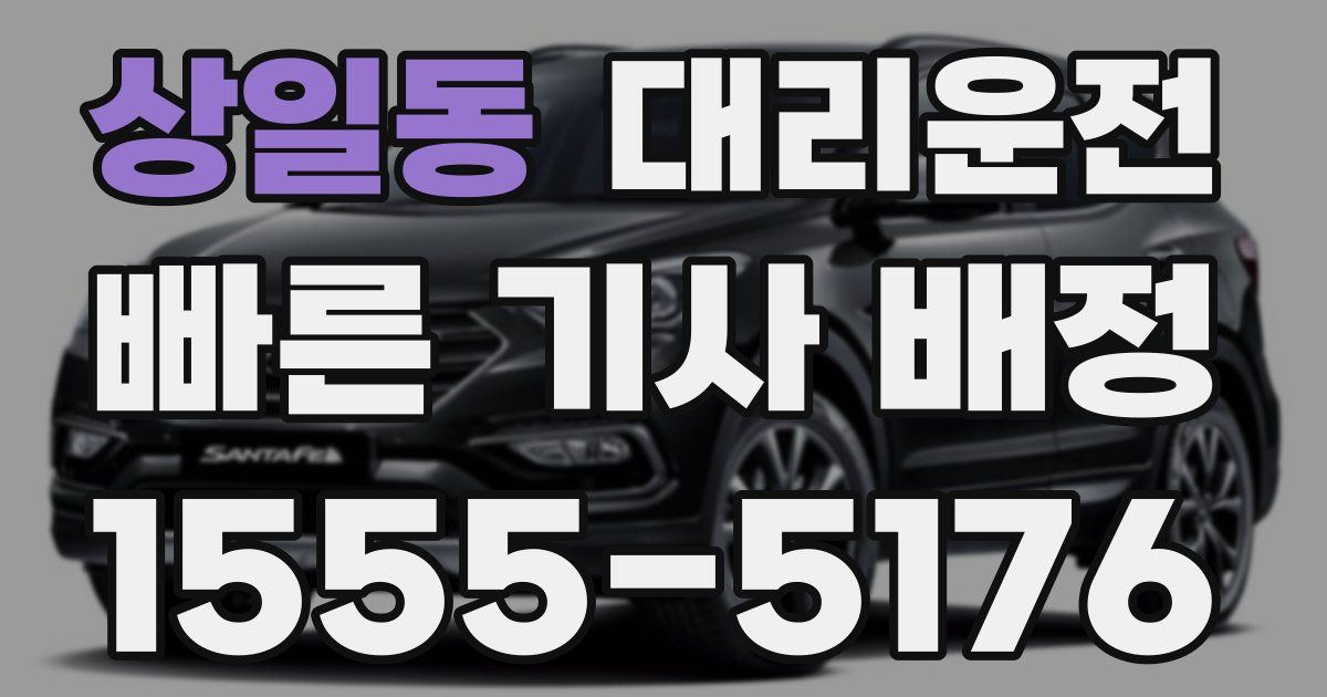 일일대리기사
