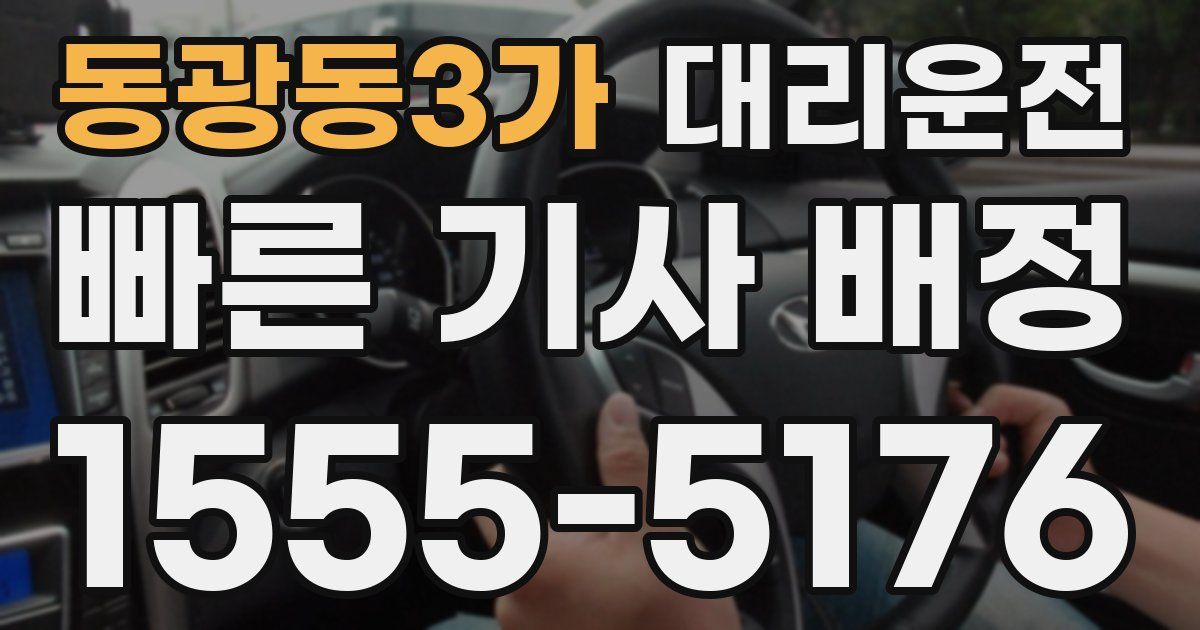 일일대리기사