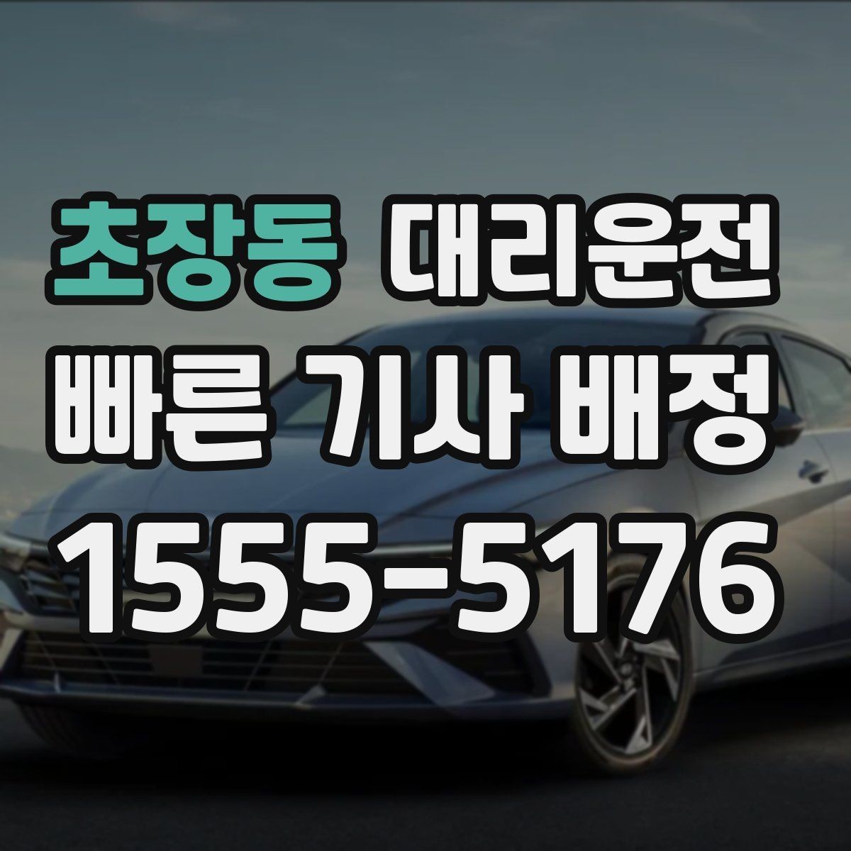 초장동 대리운전 수입차 전담 기사 요청