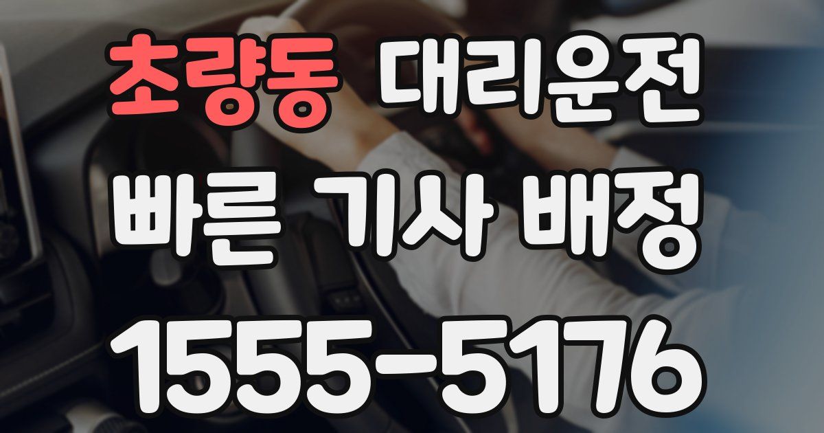 일일대리기사