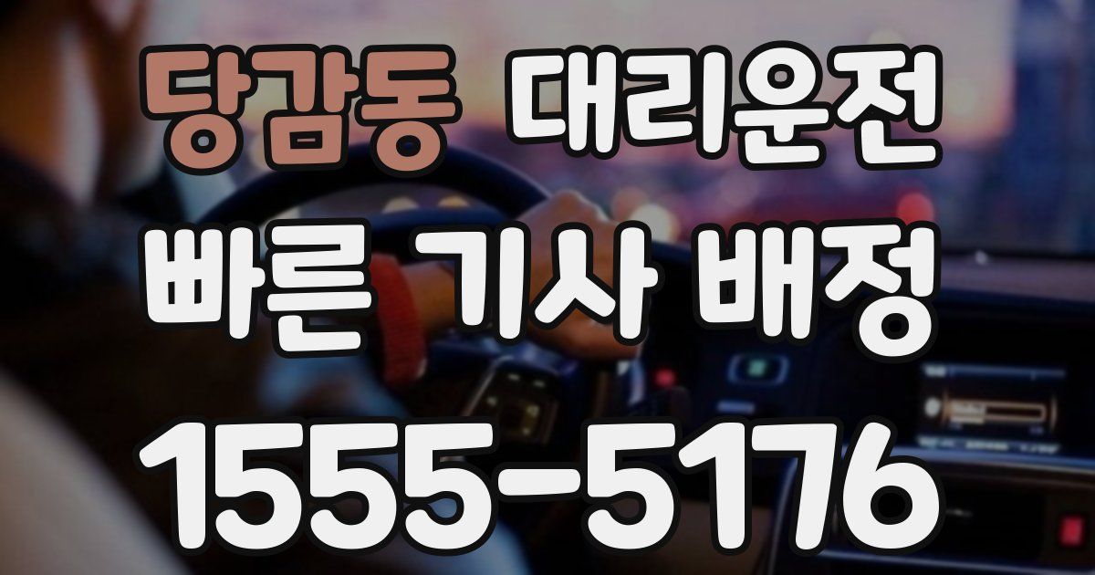 일일대리기사