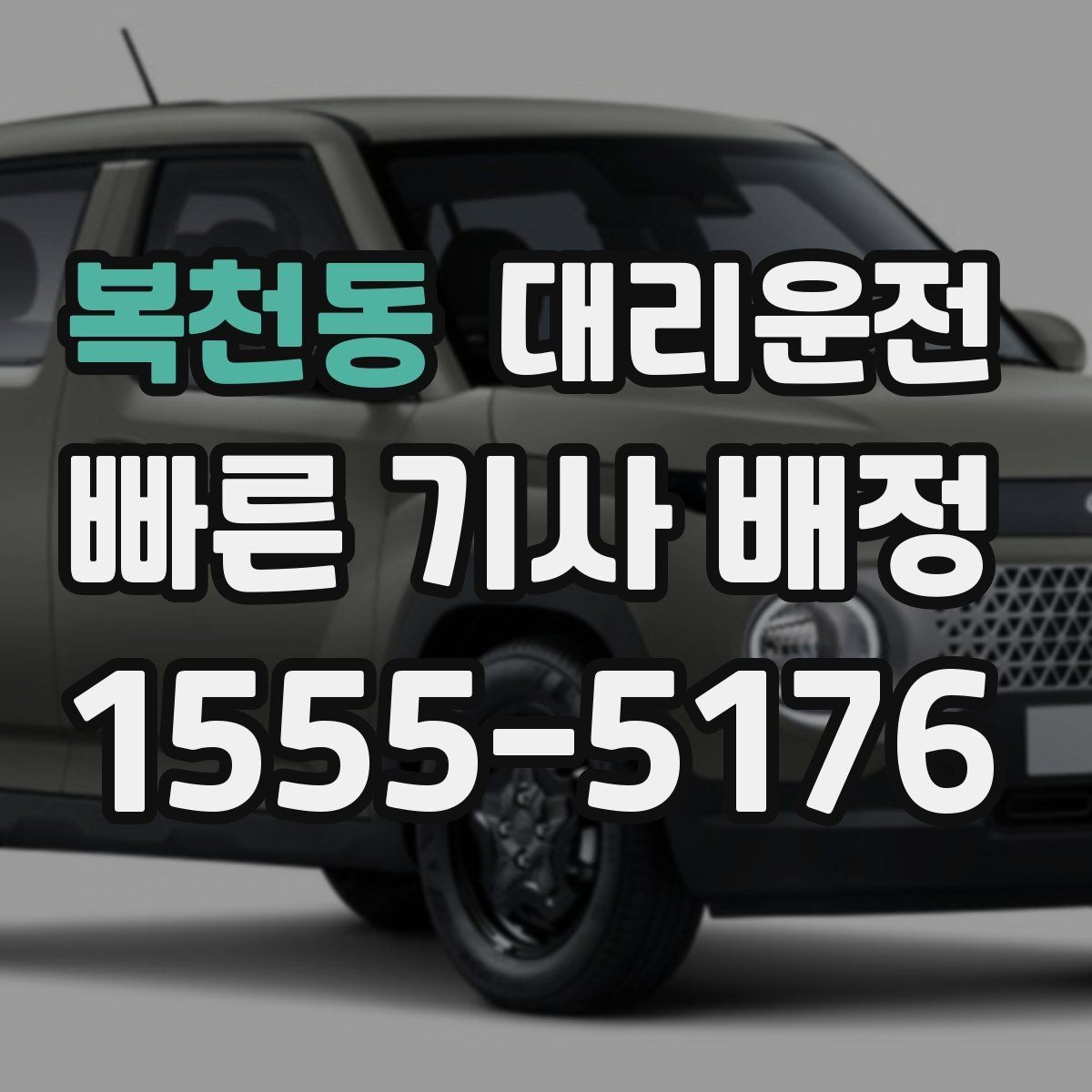 복천동 대리운전 반려동물 동반 시 주의사항