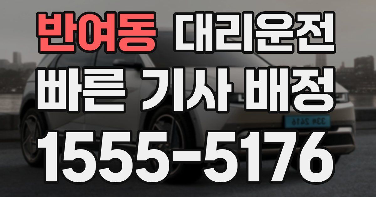 일일대리기사