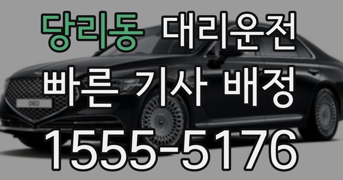 일일대리기사