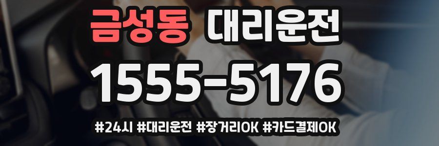 금성동 대리운전