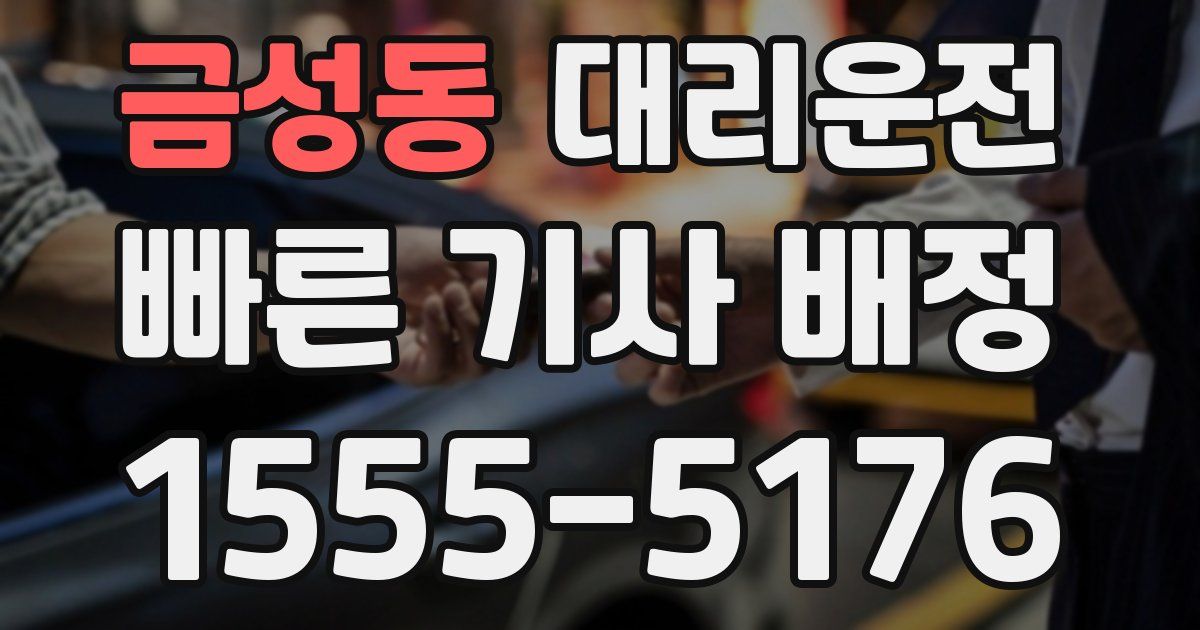 일일대리기사