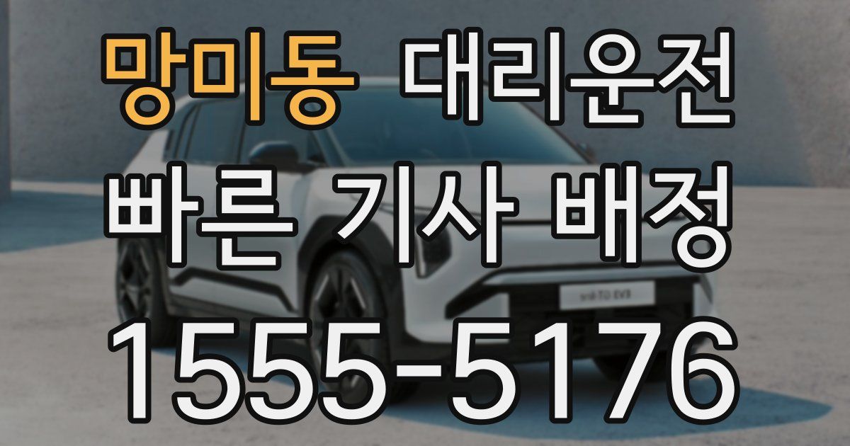 일일대리기사