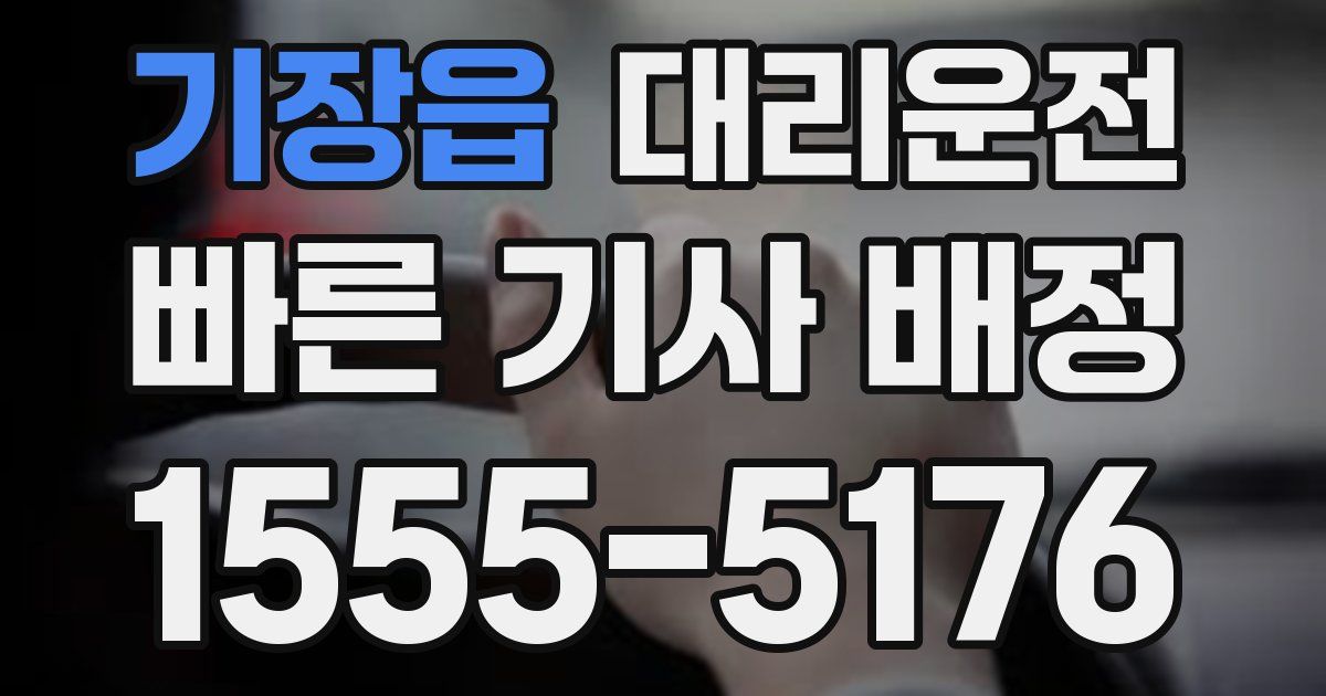 일일대리기사
