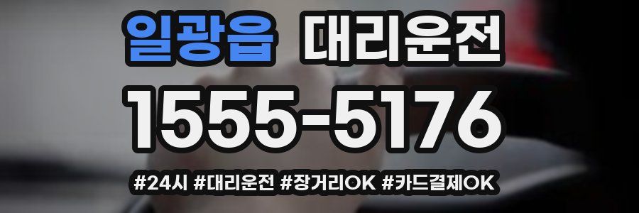 일광읍 대리운전