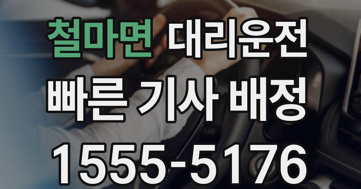 일일대리기사