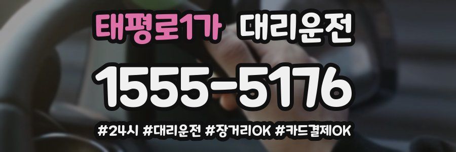 태평로1가 대리운전
