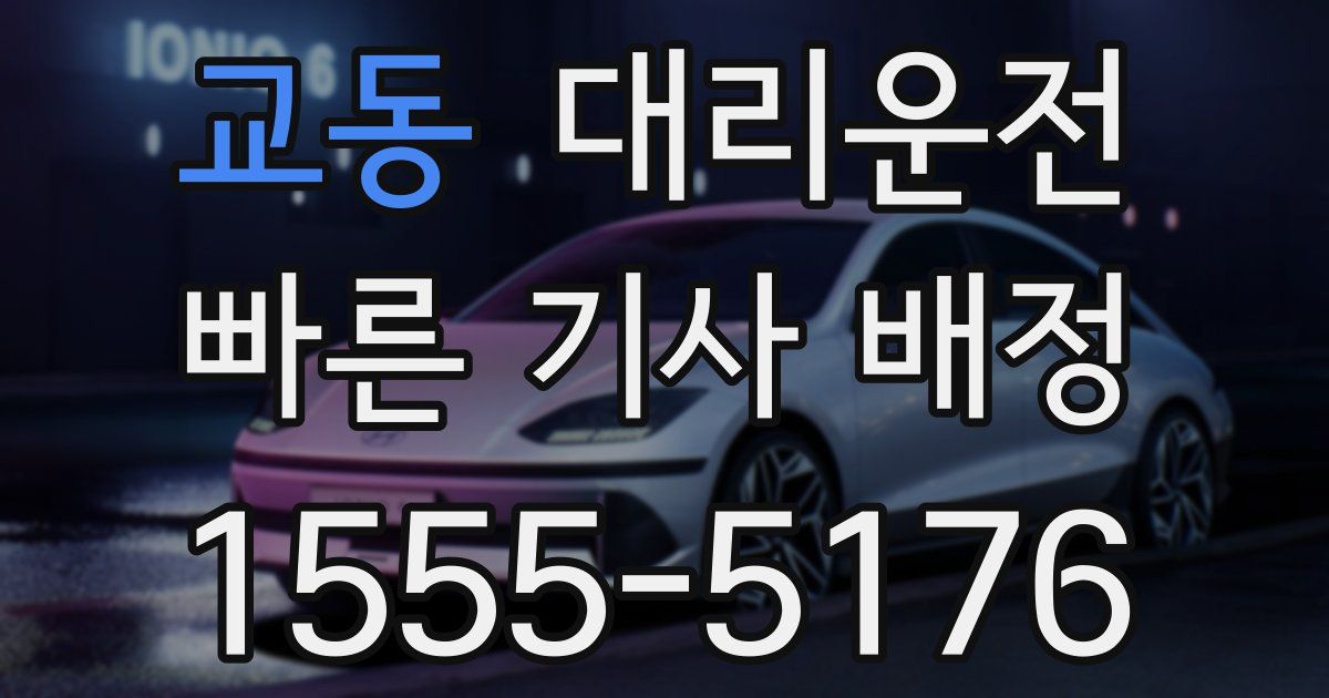 일일대리기사