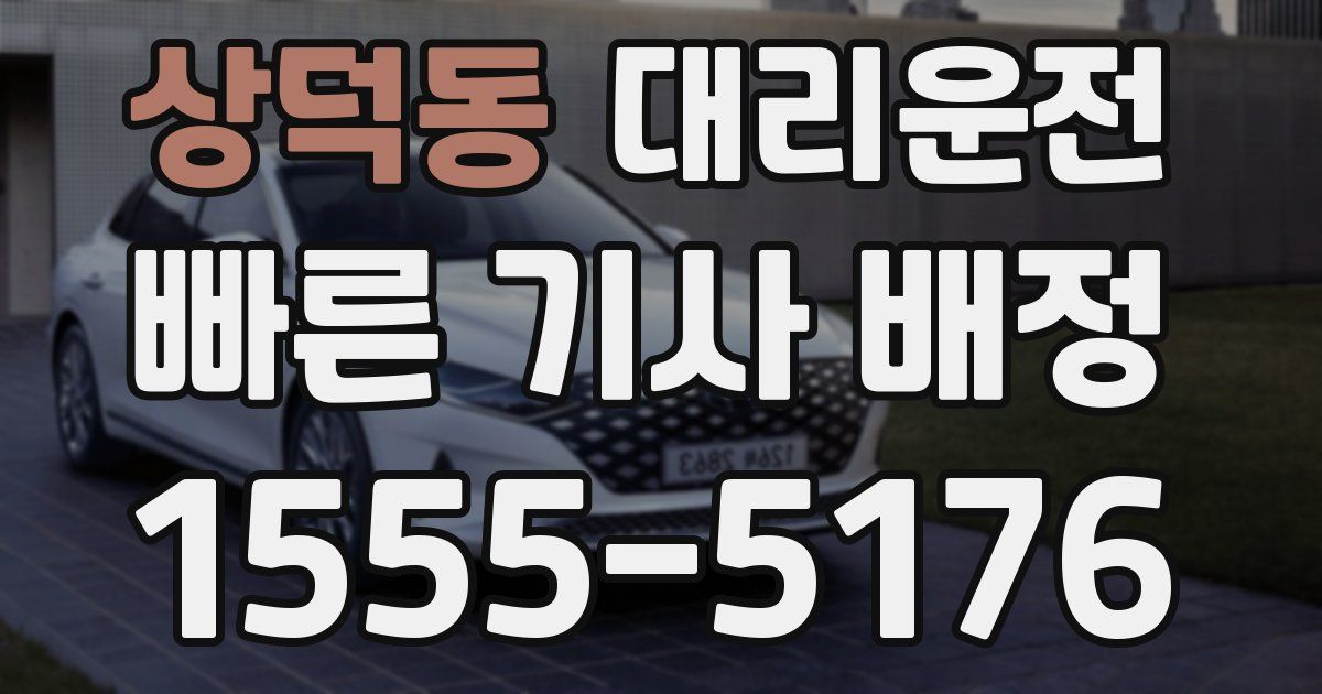 일일대리기사