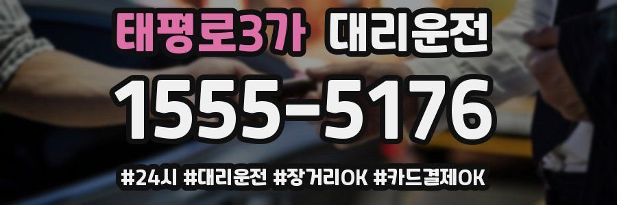 태평로3가 대리운전