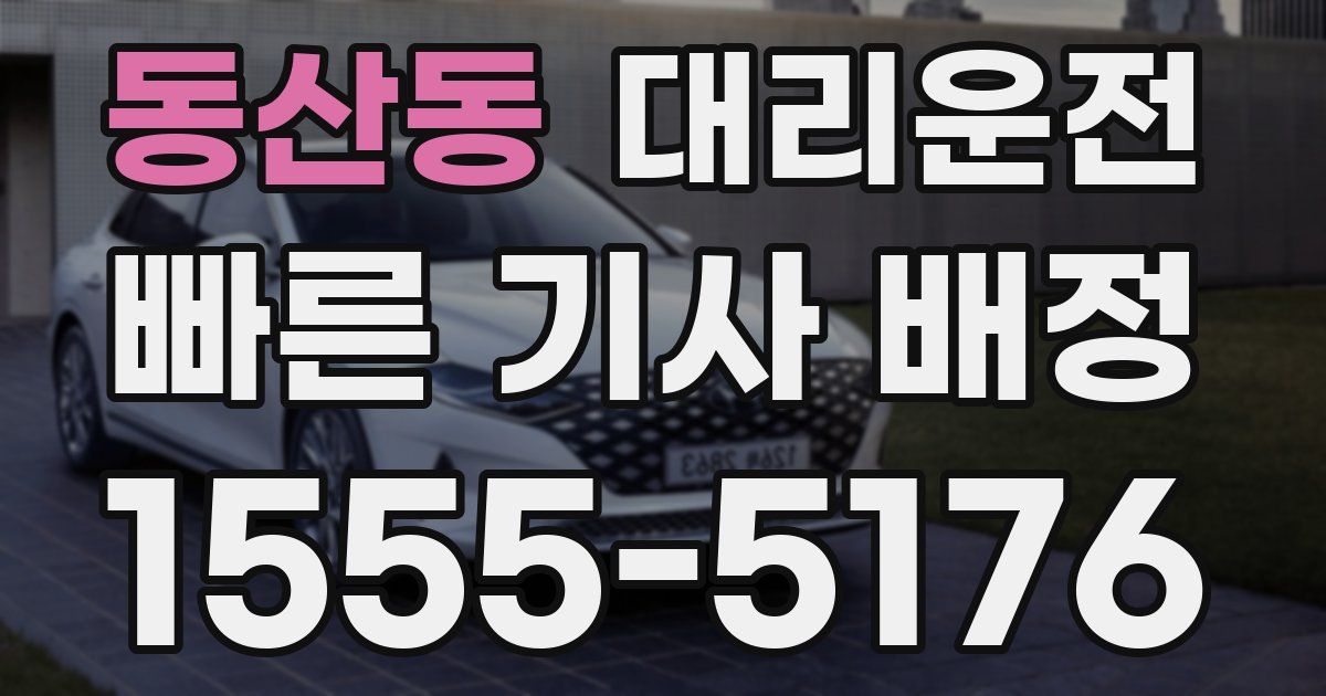 일일대리기사