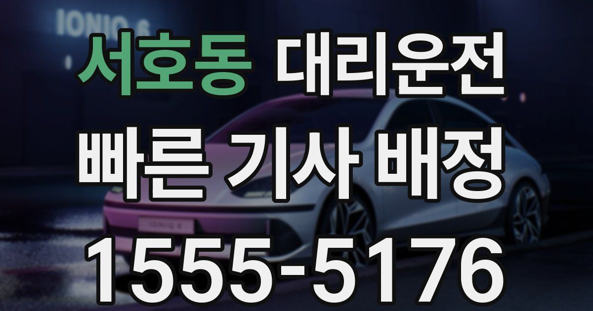 일일대리기사