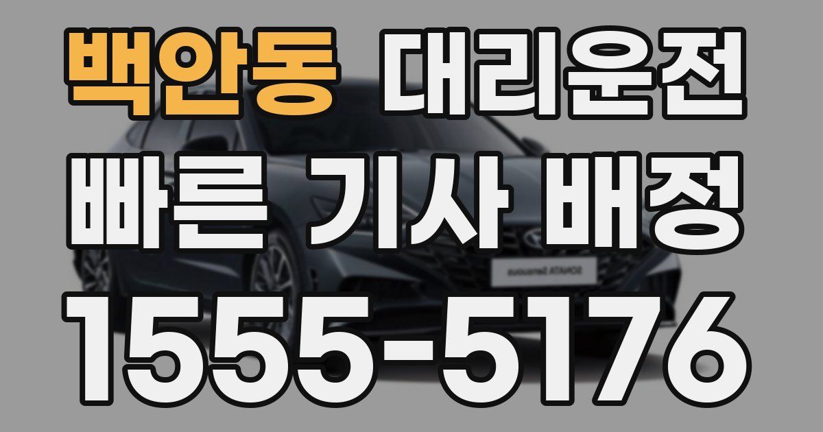 일일대리기사