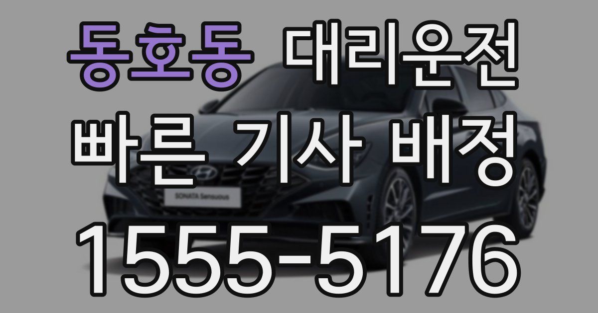 일일대리기사