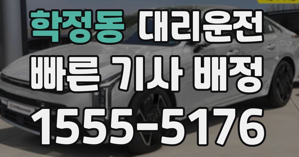일일대리기사