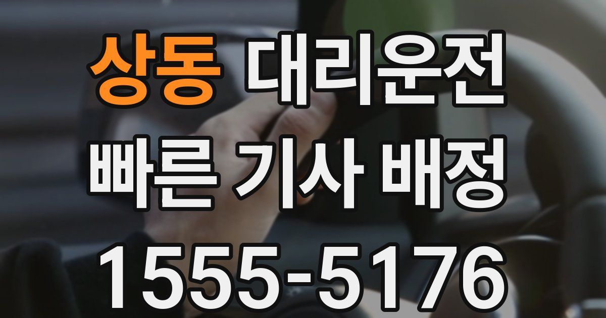 일일대리기사
