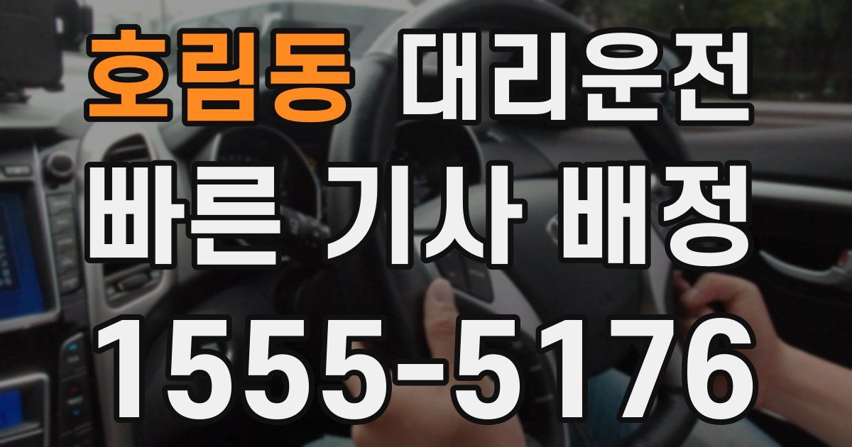 일일대리기사
