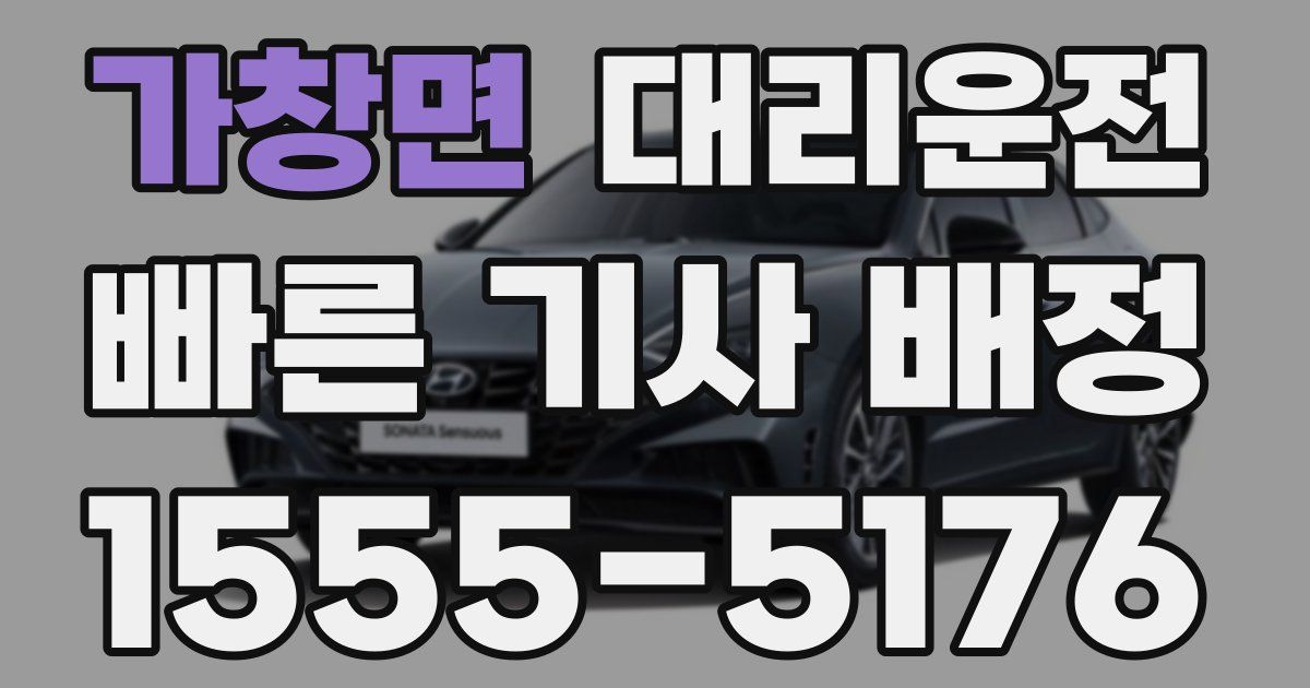 일일대리기사