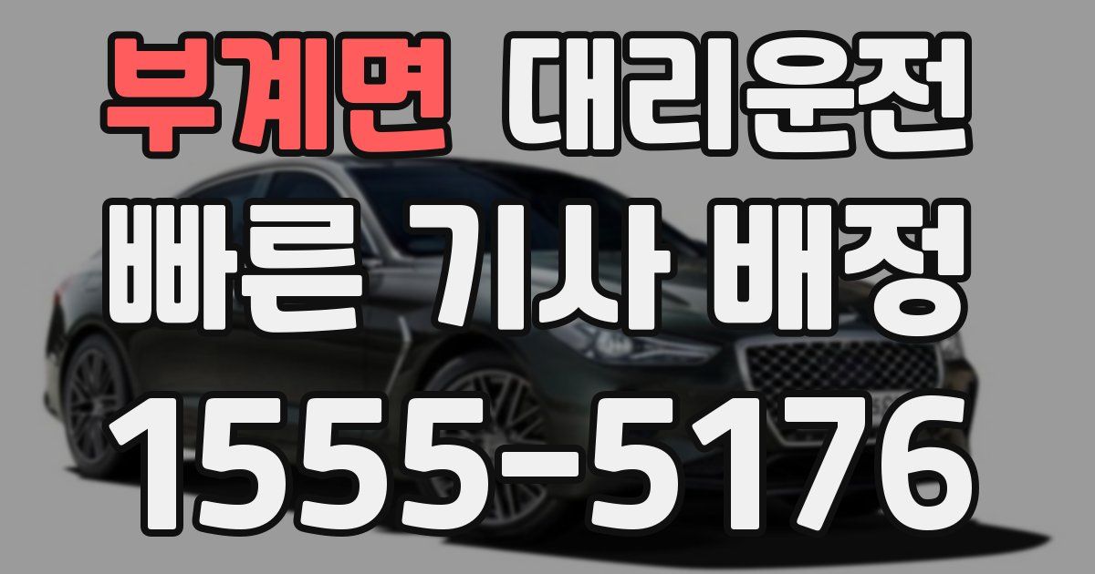 일일대리기사