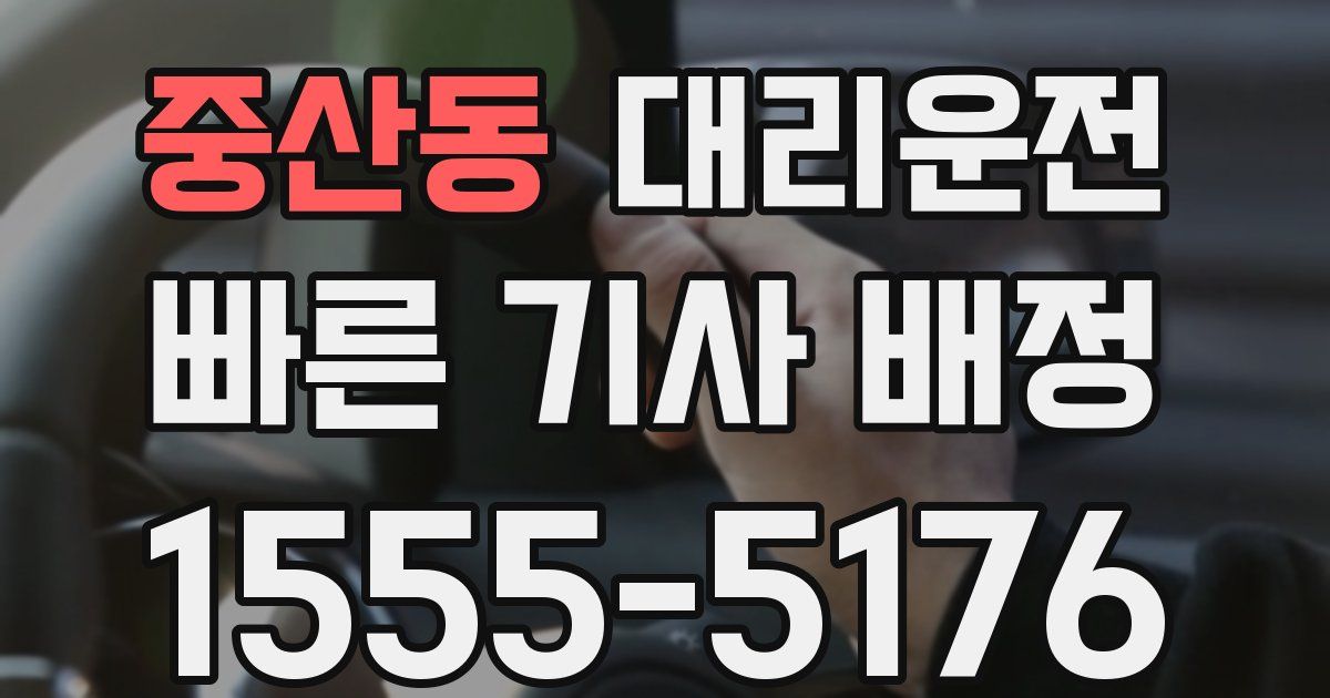 일일대리기사
