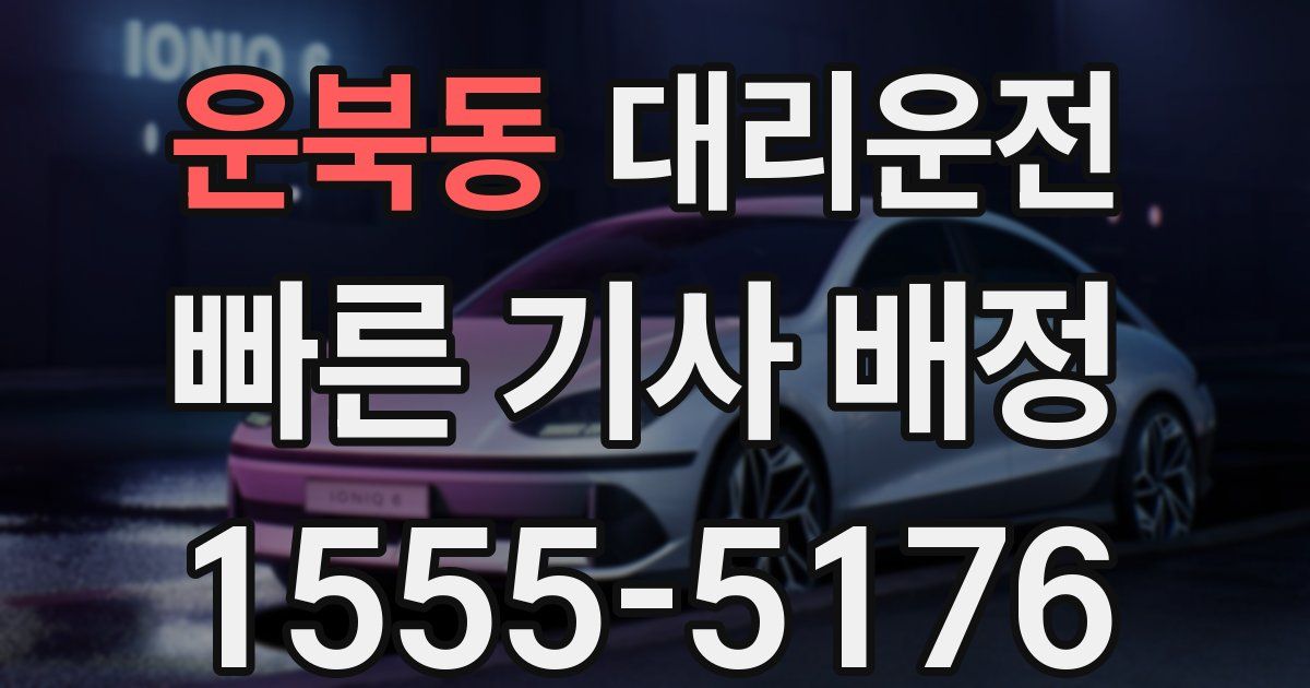 일일대리기사