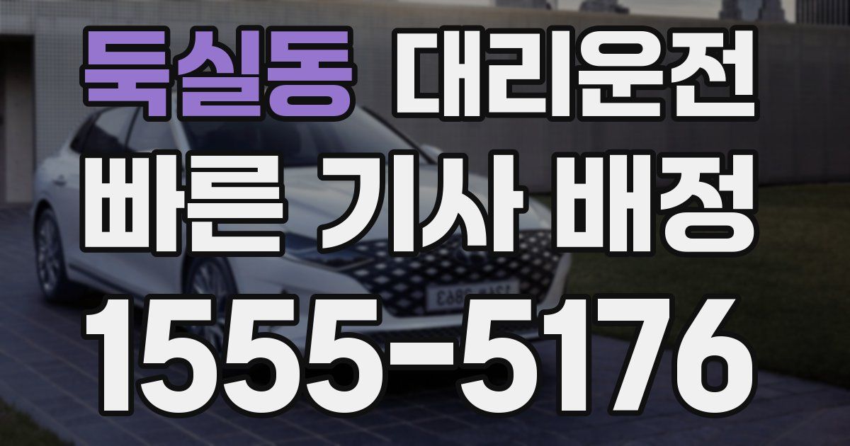 일일대리기사