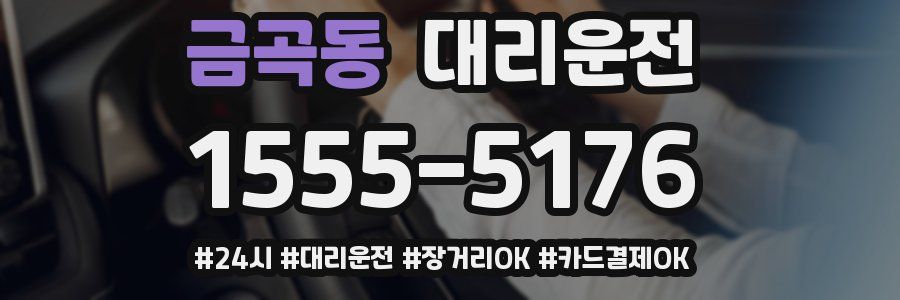 금곡동 대리운전