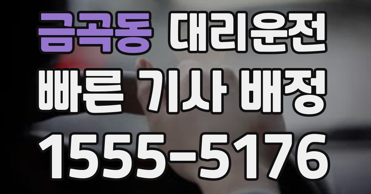 일일대리기사