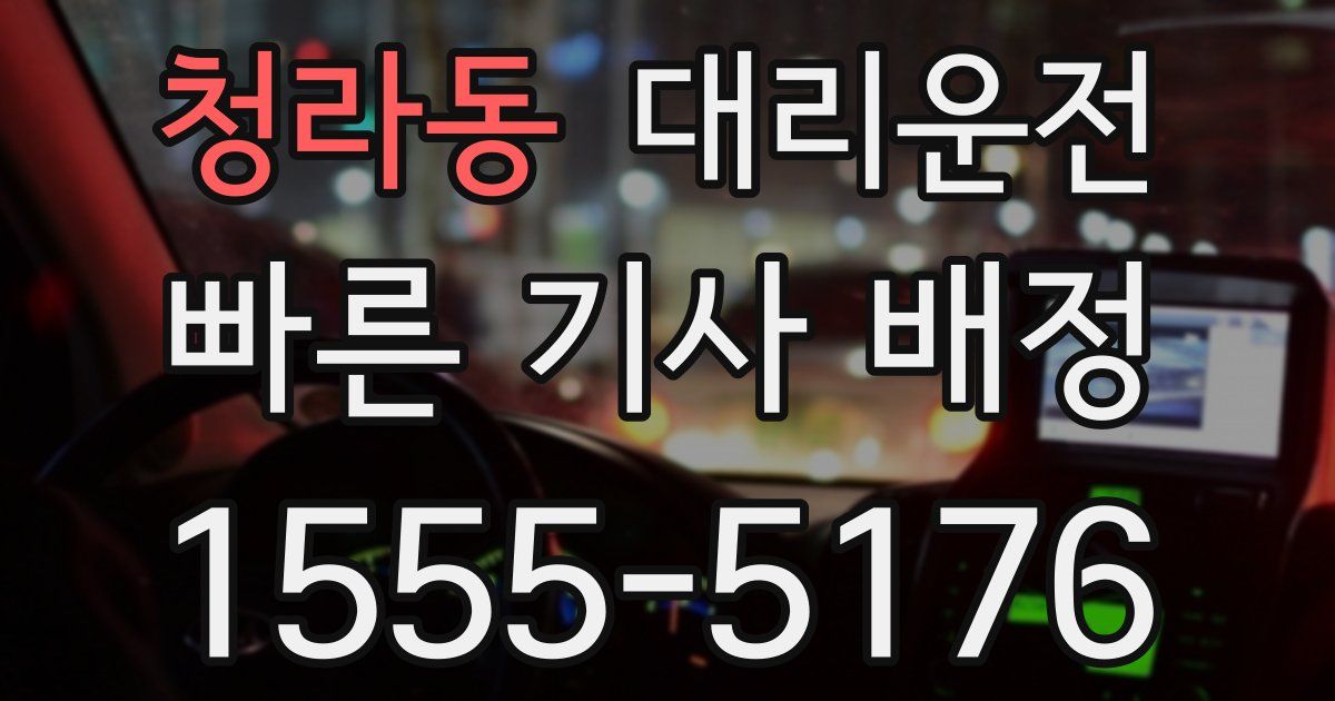 일일대리기사