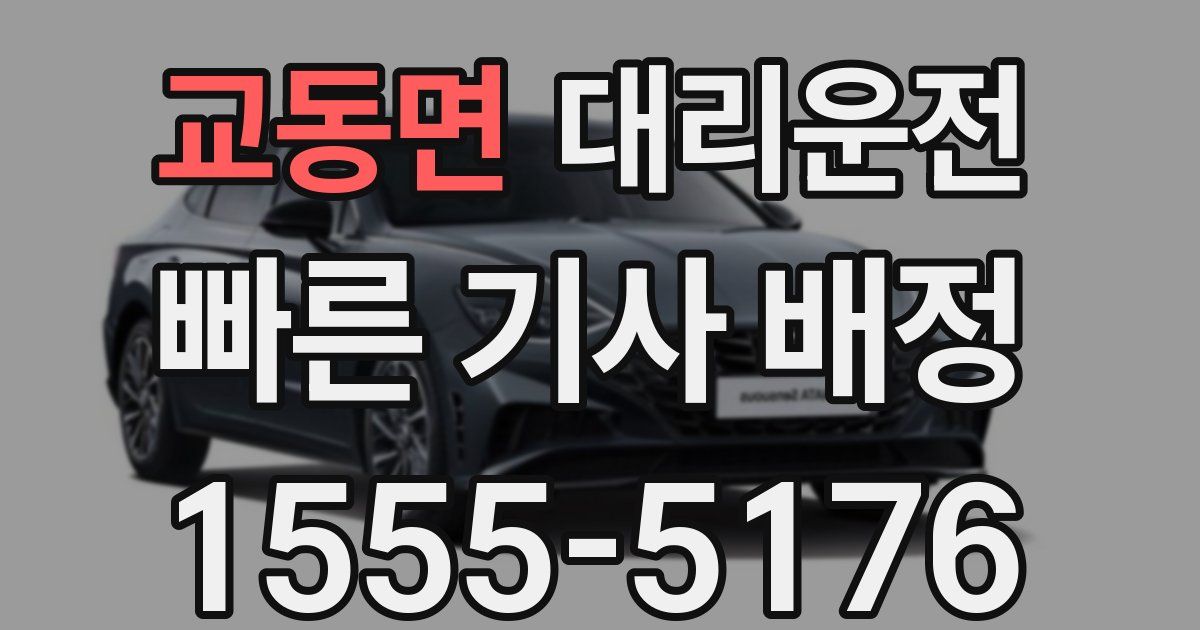 일일대리기사
