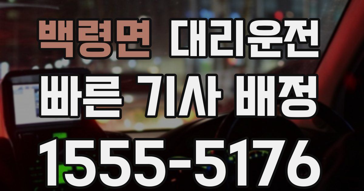 일일대리기사