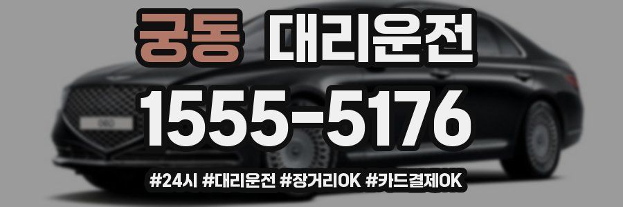 궁동 대리운전