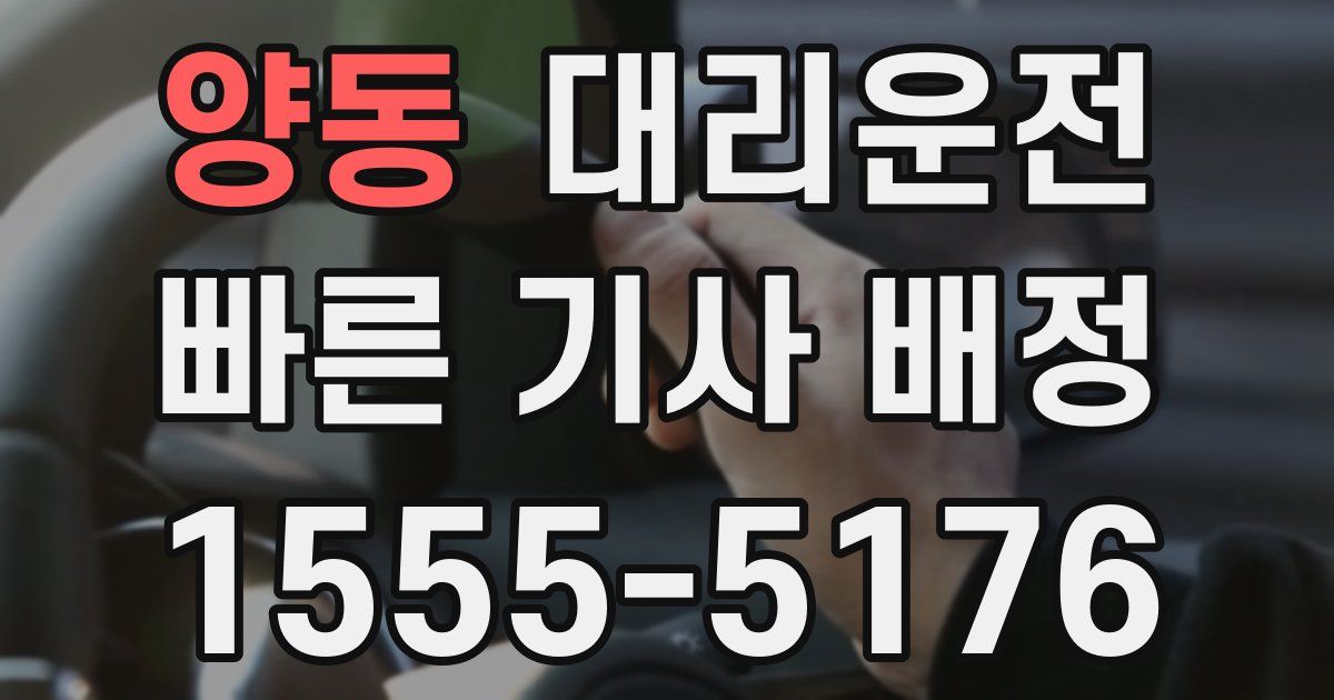 일일대리기사