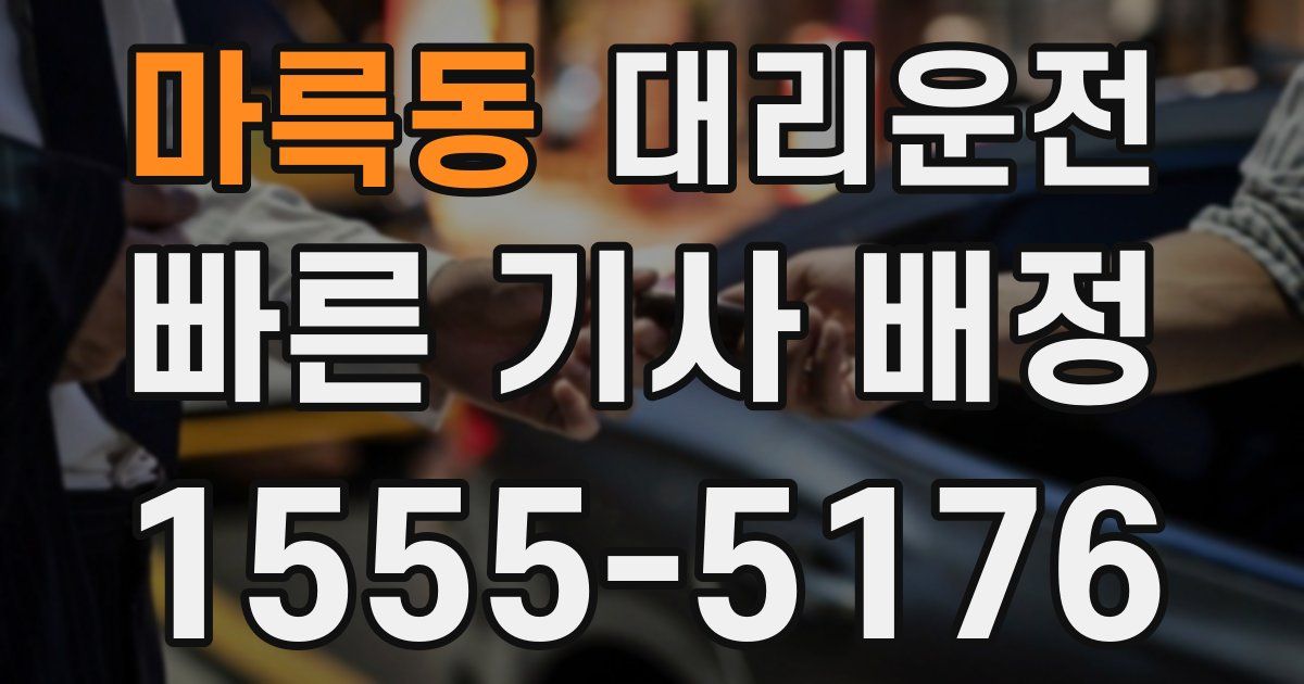 일일대리기사