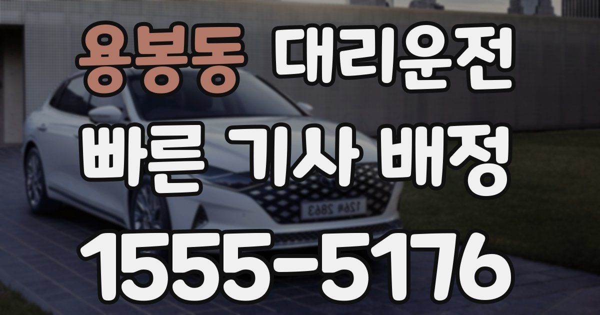 일일대리기사