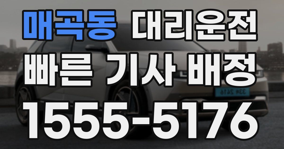 일일대리기사