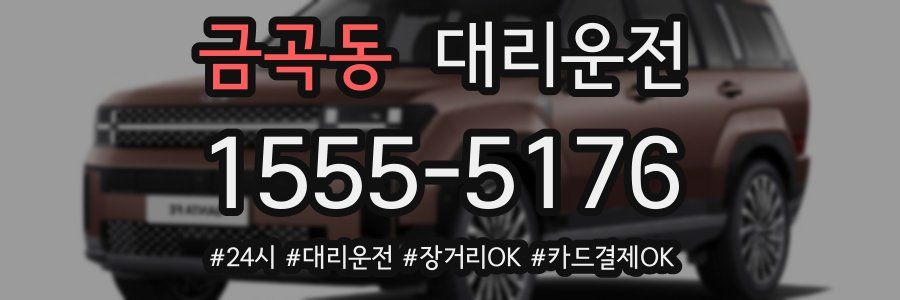 금곡동 대리운전