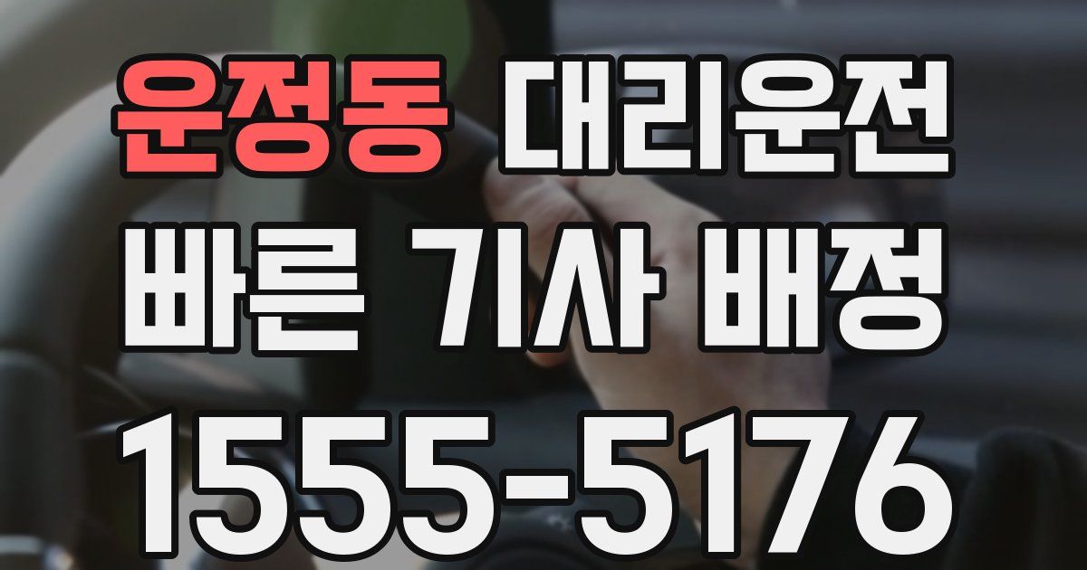 일일대리기사