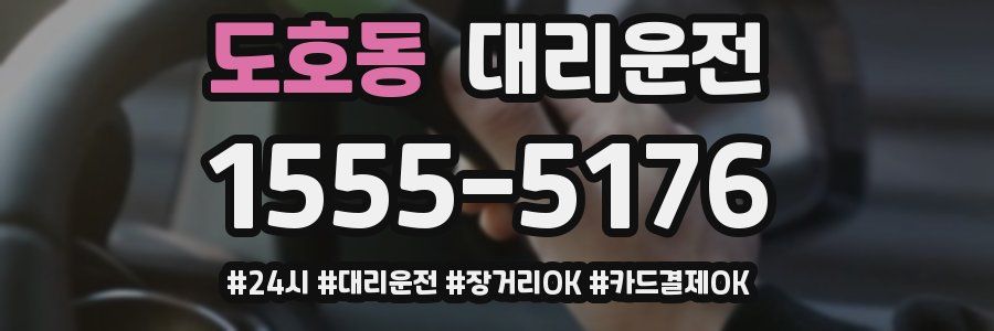 도호동 대리운전