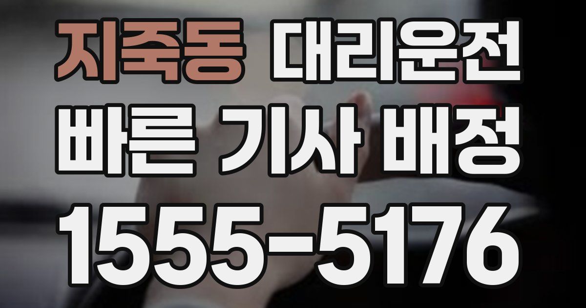 일일대리기사