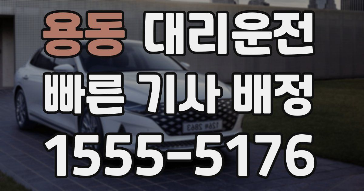 일일대리기사