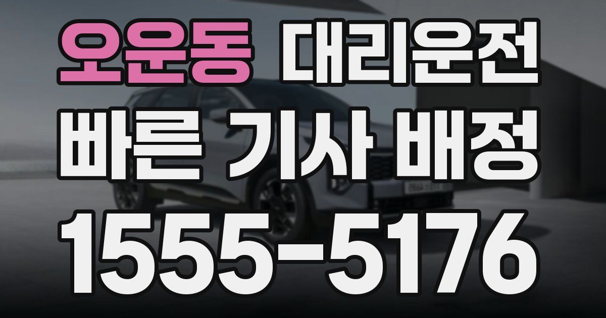 일일대리기사