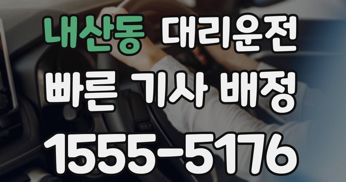 일일대리기사