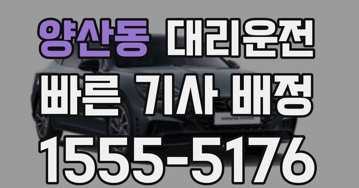 일일대리기사