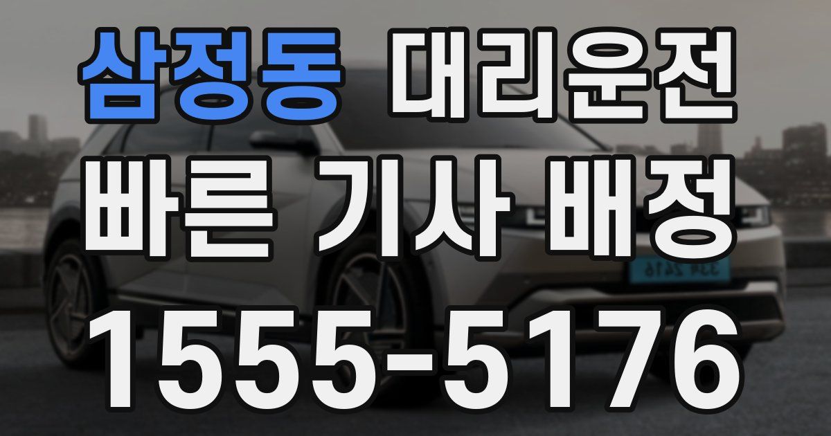 일일대리기사
